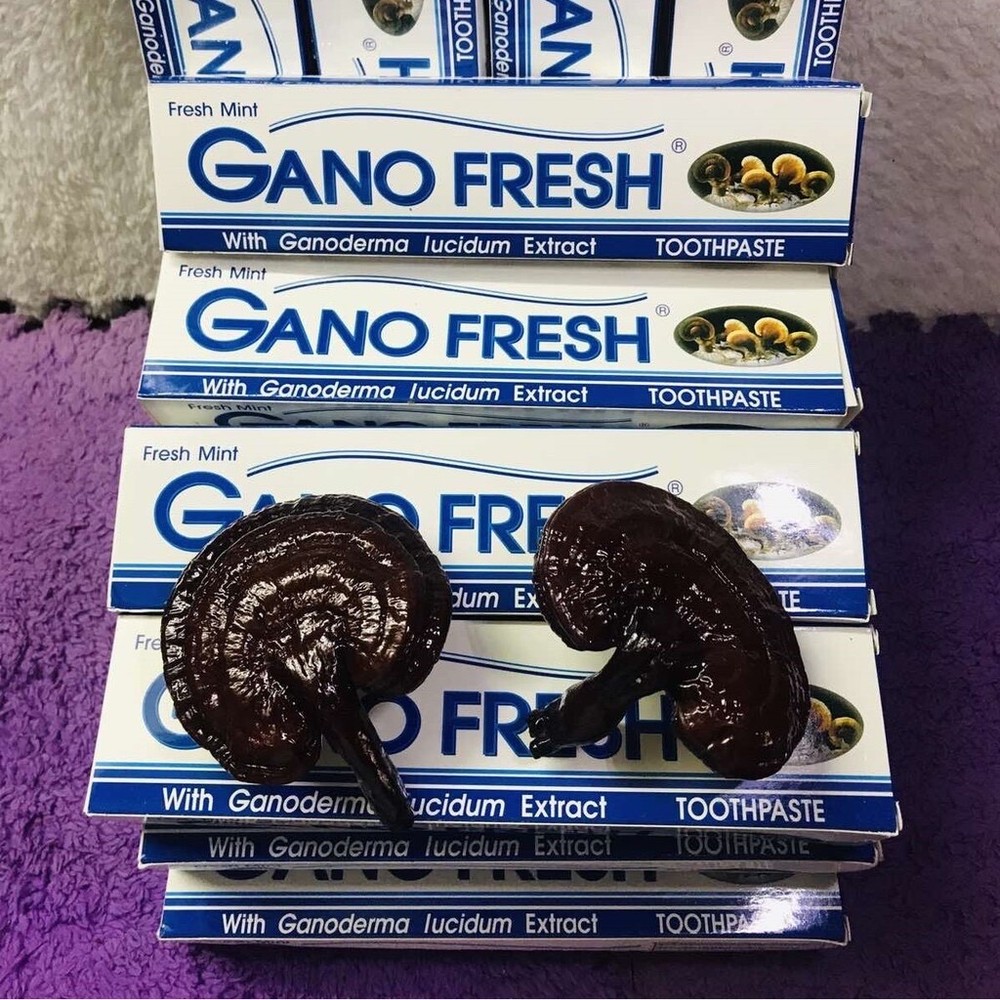 10 Boxes GANO EXCEL GANO FRESH TOOTHPASTE GANODERMA Free Shipping 150g