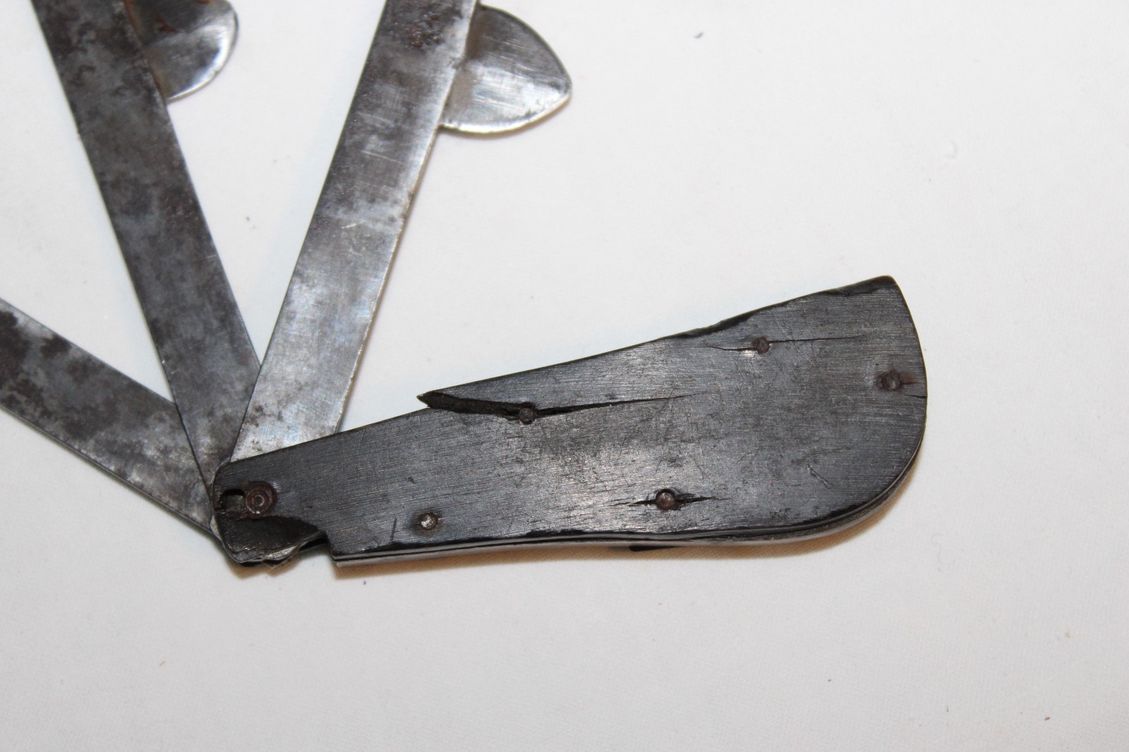 Antique 3 Blade Blood Letting Fleam Tool Marked G. Gregory