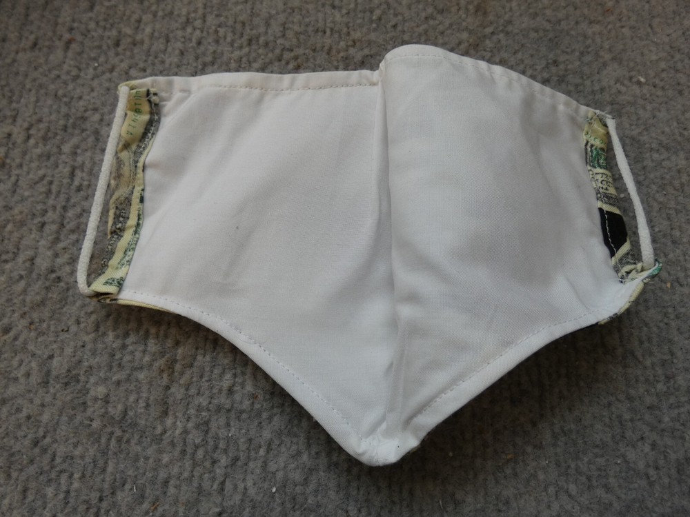 PROTECTIVE CLOTH FACE MASK MONEY