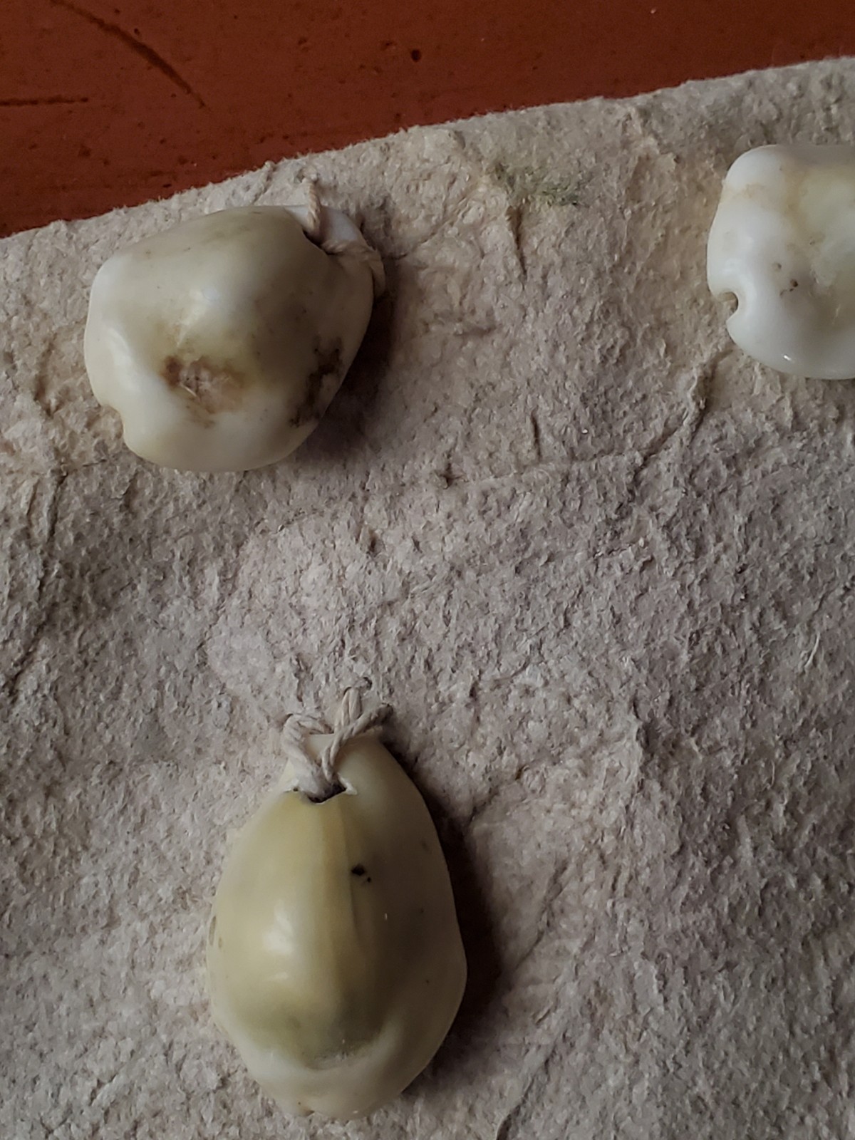 Antique OLD Native American plains Indian womans dress hide 19th c.