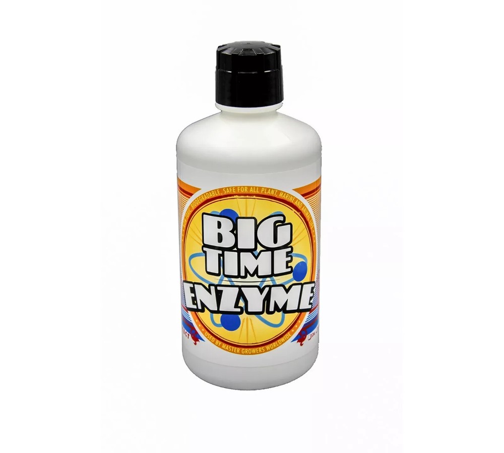 Big Time Enzyme