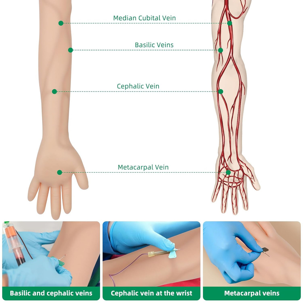 Phlebotomy Practice Kit for Injection Training, IV Practice Kit for Nurse With