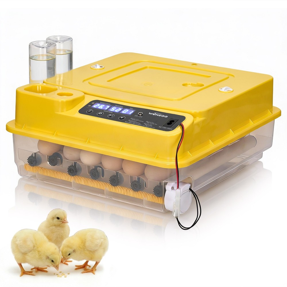 24-36 Eggs Incubator Digital Poultry Hatching Machine Automatic Turning Farm