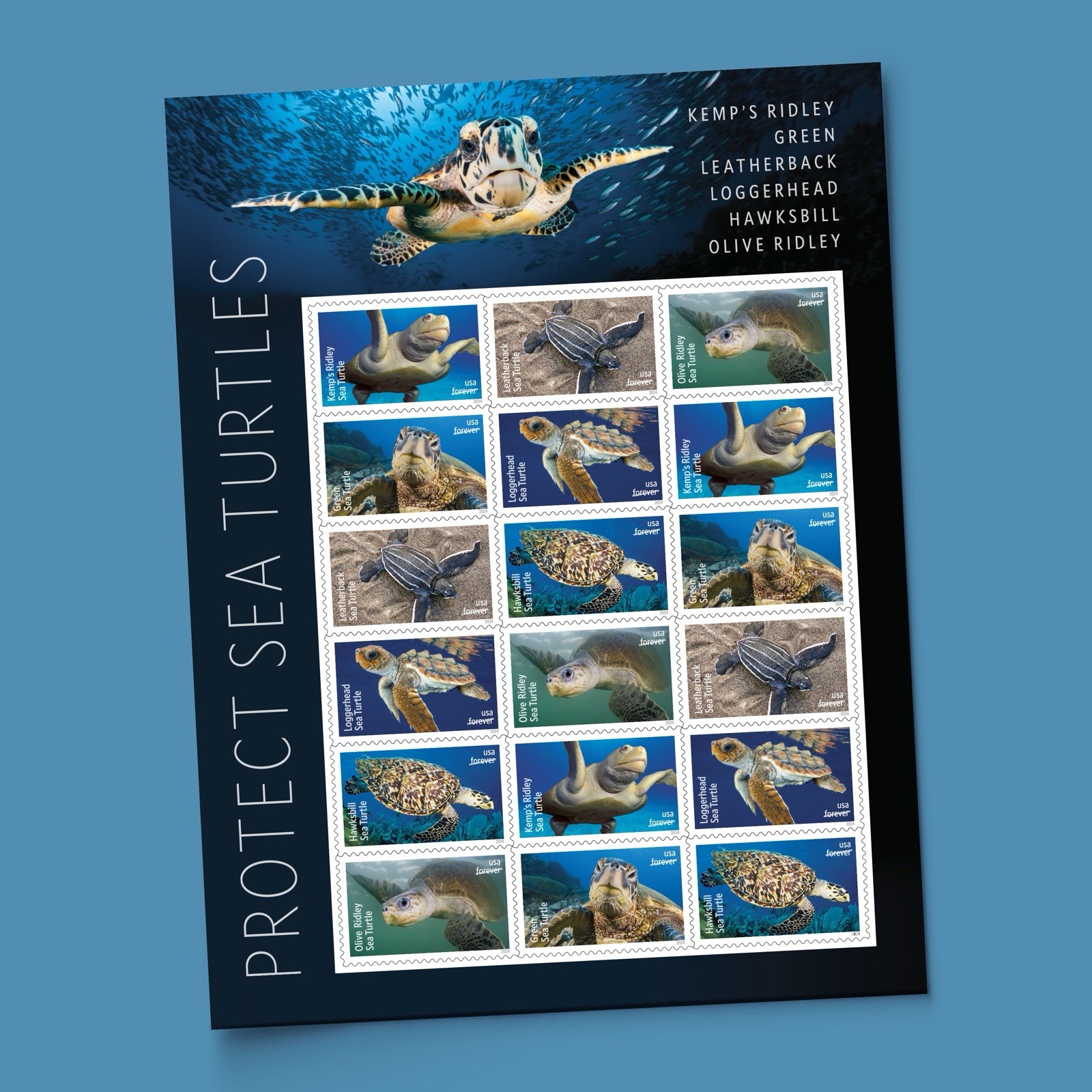 2024 Protect Sea Turtles USPS Sheet of 18 First Class Letter Stamps 78 cents