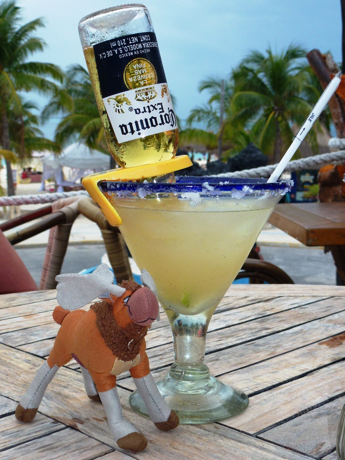 5 Corona Extra Beer Yellow Margarita Coronita / Coronarita Bottle Clips ~ New