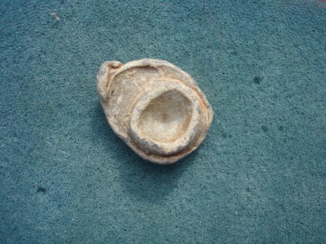 Civil War Relic Direct Hit Bullseye Mushroomed Bullet Chattanooga, Tennessee