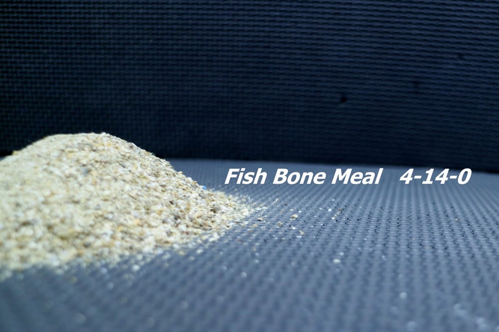 Organic Fish Meal Nitrogen, Phosphate Promotes Flowering