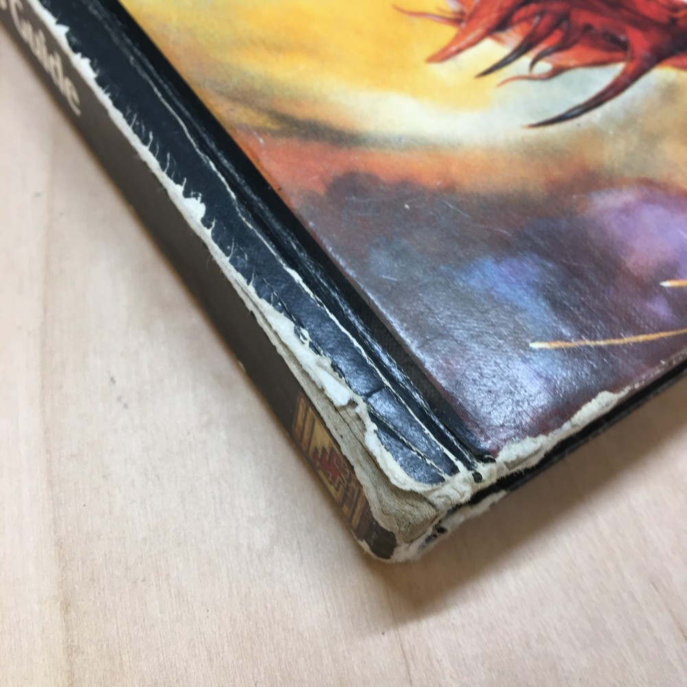 Advanced Dungeons & Dragons 2nd Edition Dungeon Master's Guide + 2 Screens Ref