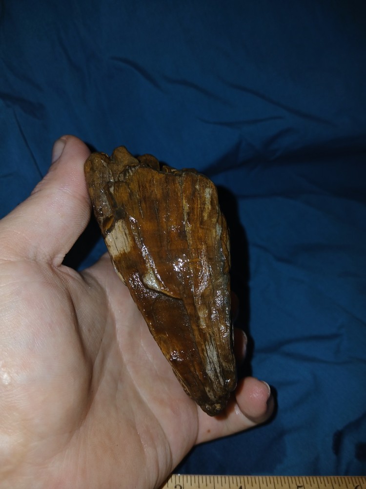 10 oz Petrified Wood