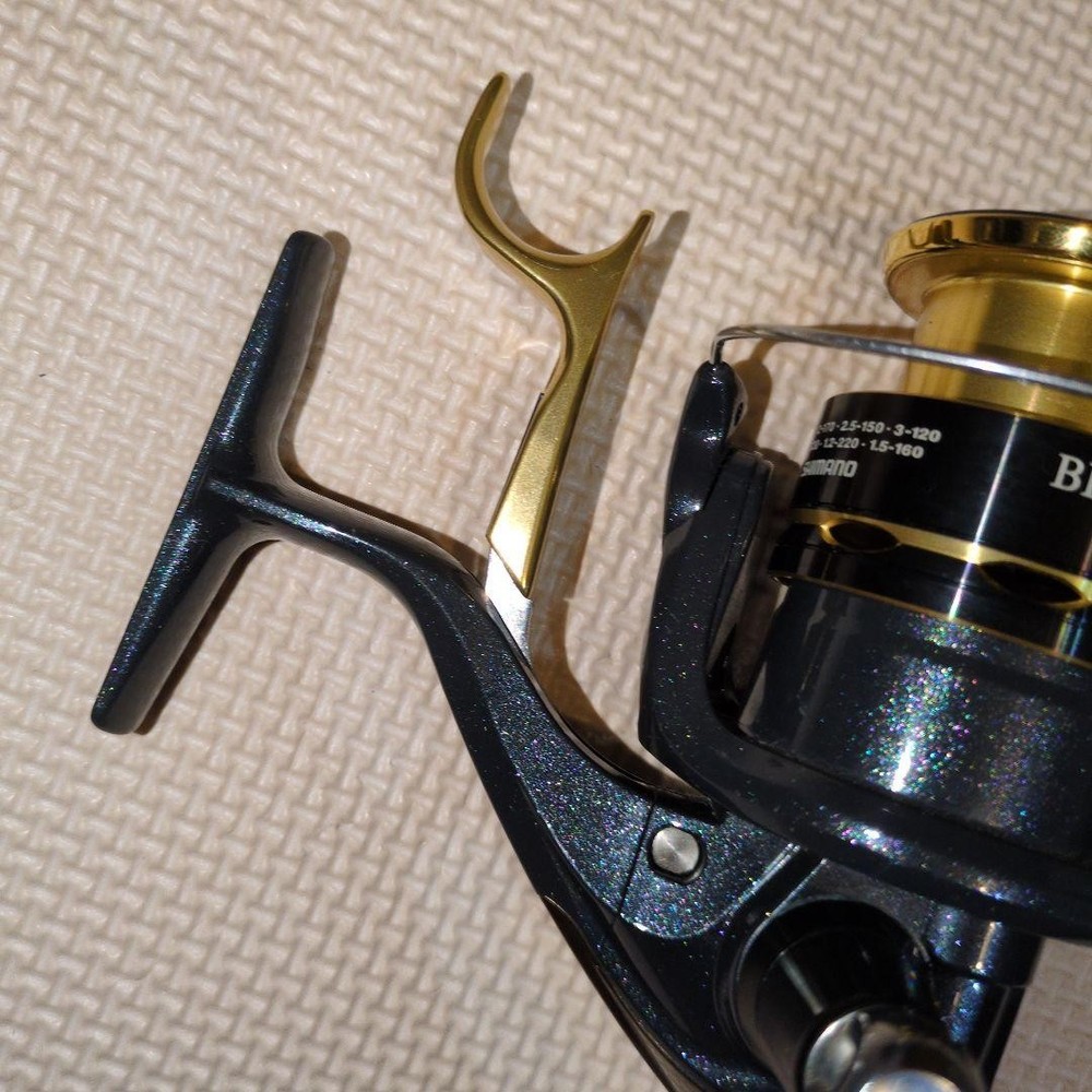 BB-X DESPINA 2500DXG