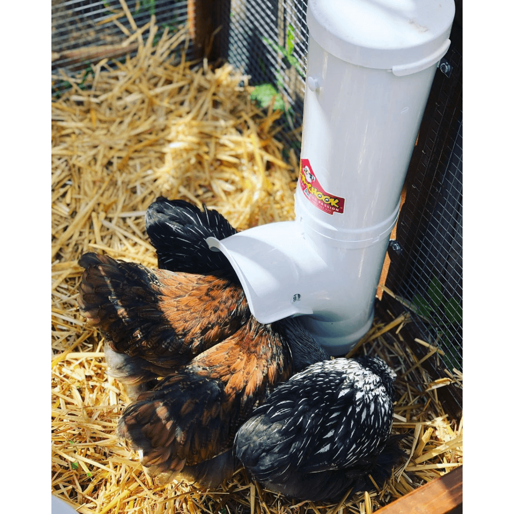 Chicken Feeder