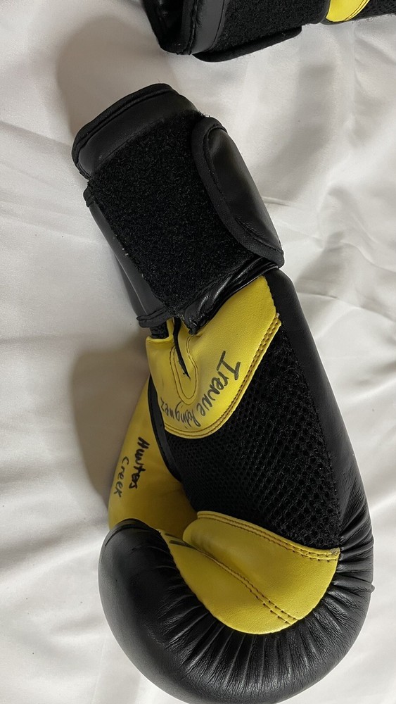 ATA Victory martial arts Boxing Gloves 16oz