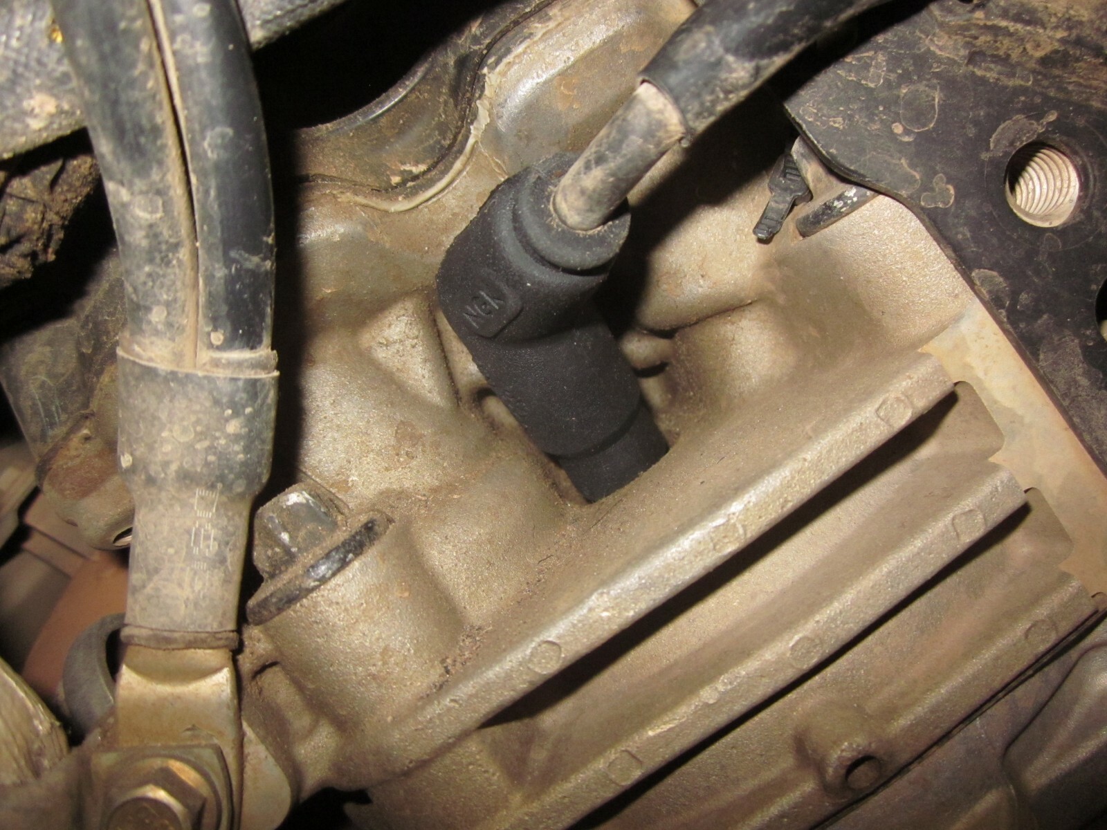 Polaris Magnum Trail Blazer Trail Boss 325 330 Spark Plug Cap - 3086463 3087037