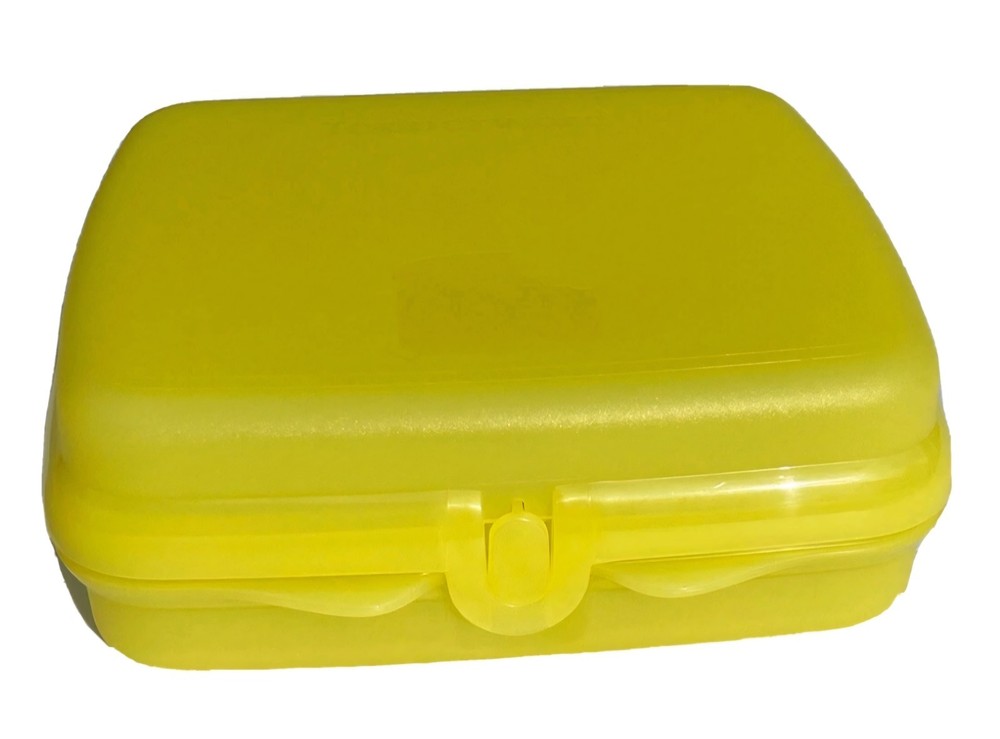 New Tupperware Sandwich Keeper