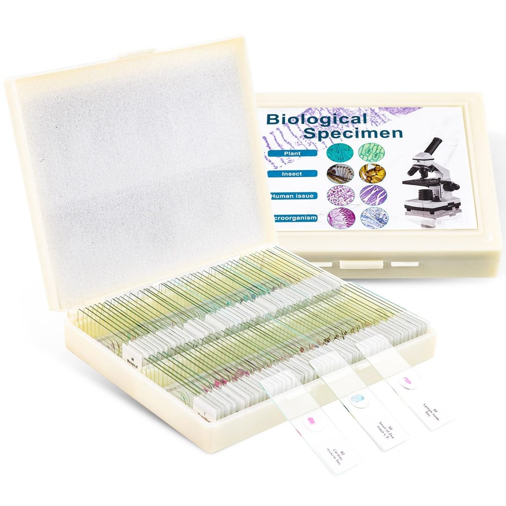 100 Prepared Microscope Slides with Specimens for Kids Adults - Bacterium, Fu...