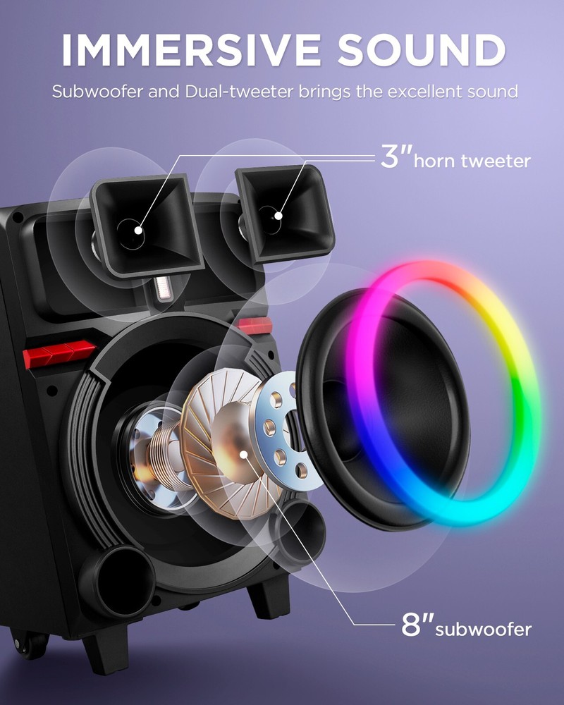 Karaoke Machine with 2 Wireless Microphones & Bluetooth Speaker