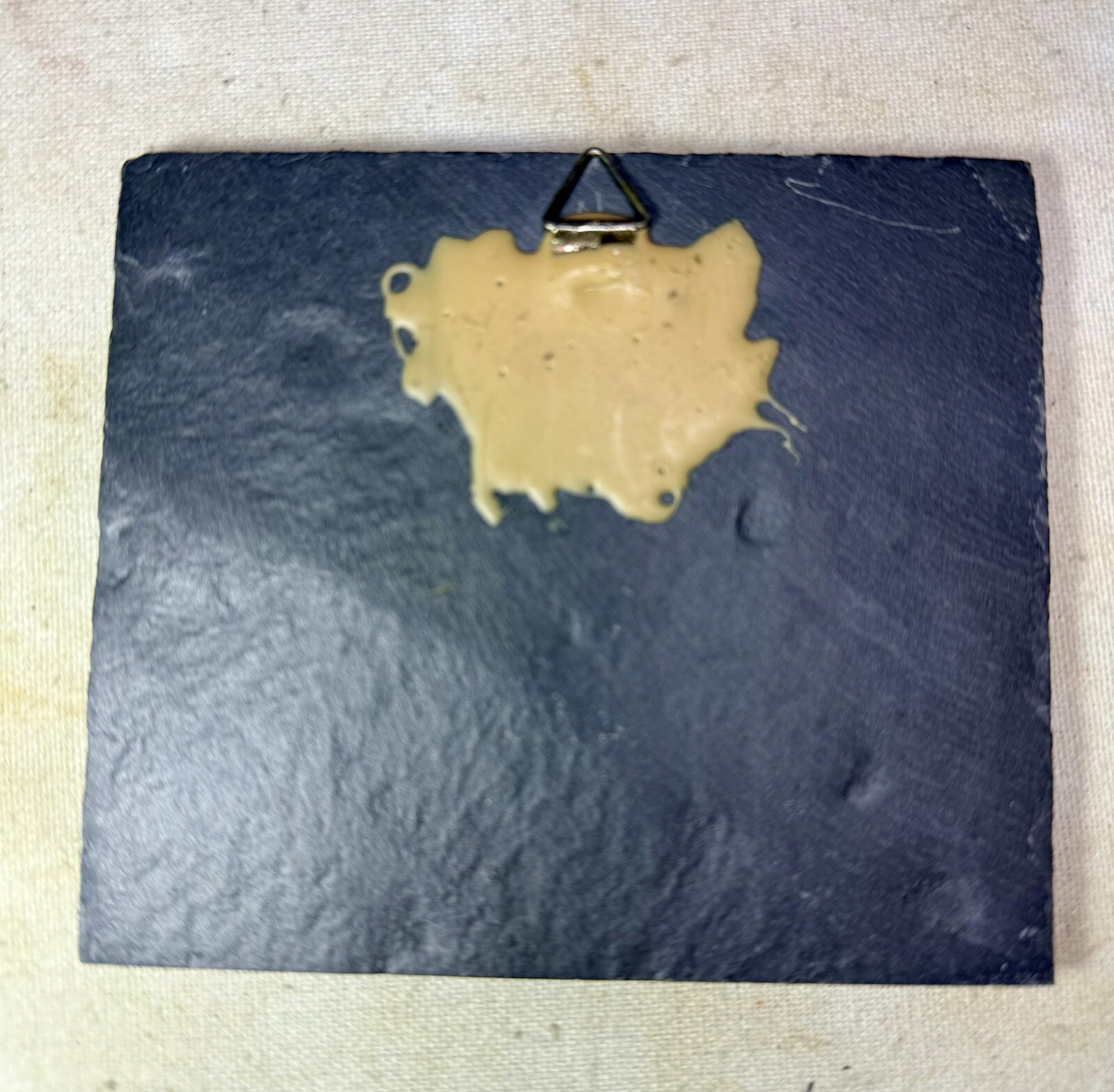 Bundenbachia Beneckei Starfish Fossil ~ Bundenbach Germany ~ Devonian Period