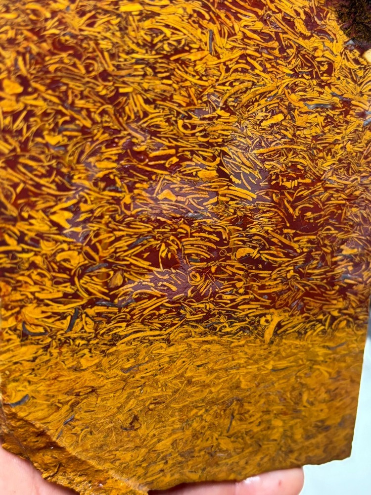 Script Stone Jasper Slab Cabbing Lapidary Collecting Combo Ship Avail