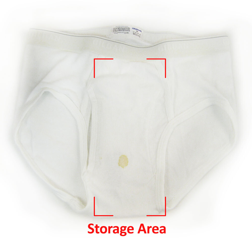 The Brief Safe Travel Security Hidden Contents Wallet Passport Protector