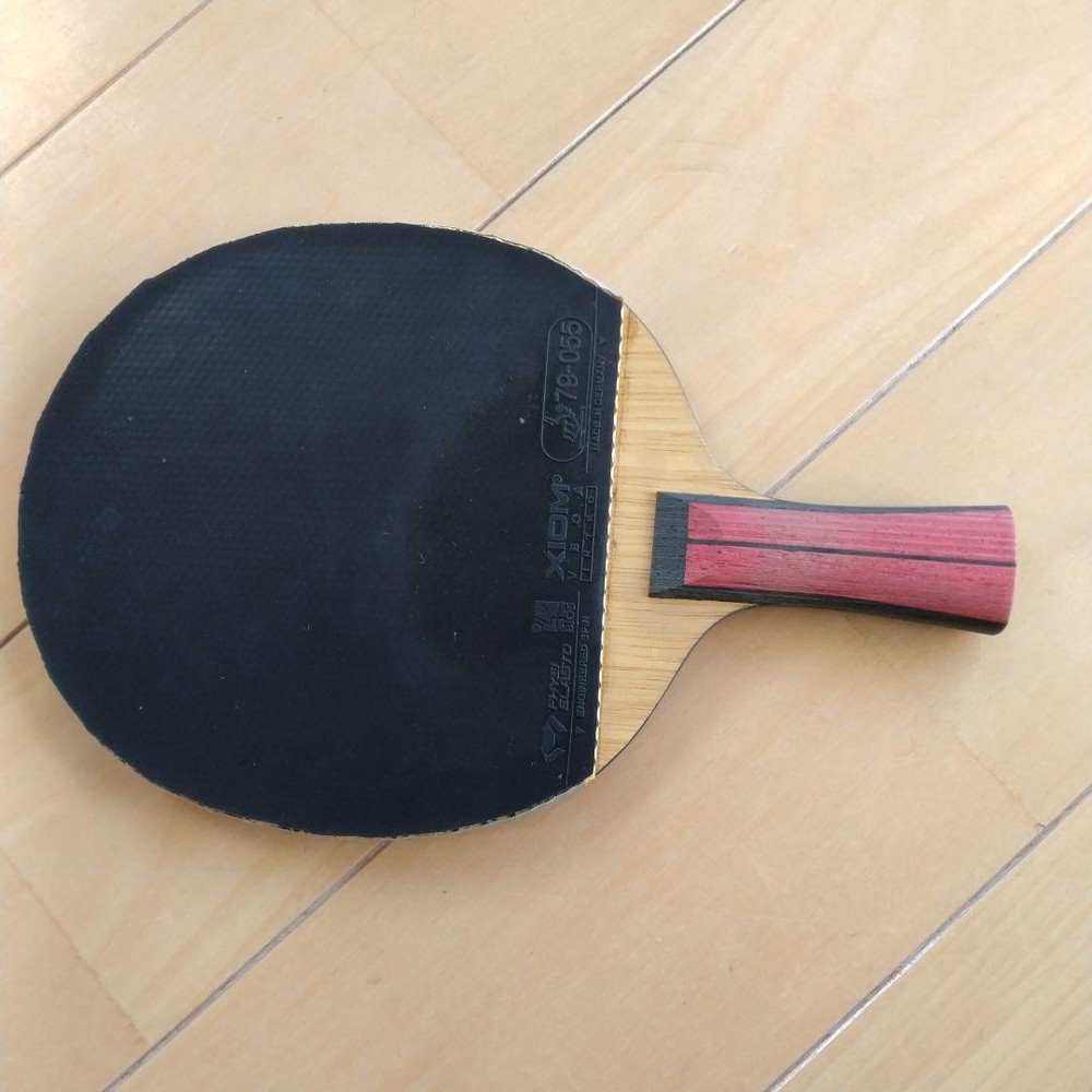 Nittaku Table Tennis Racket And Case Set