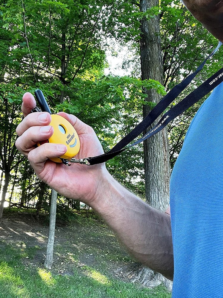 E-Collar Technologies - Lanyard