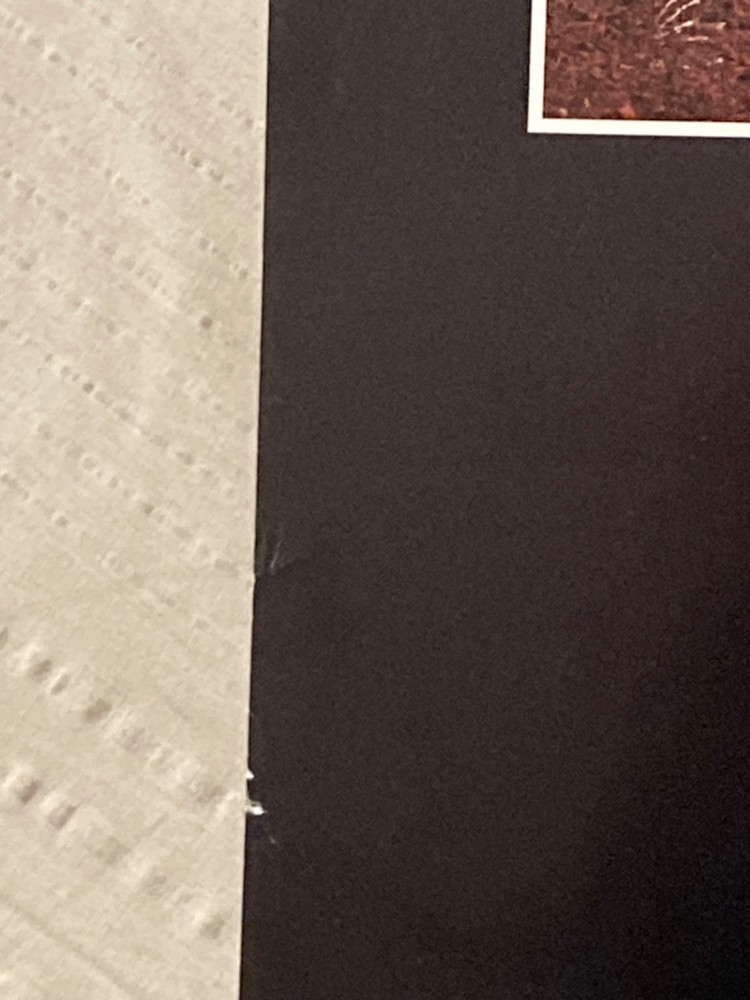 The Cranberries 1999 2-Sided Promo Poster Bury The Hatchett Delores O’Riordan H