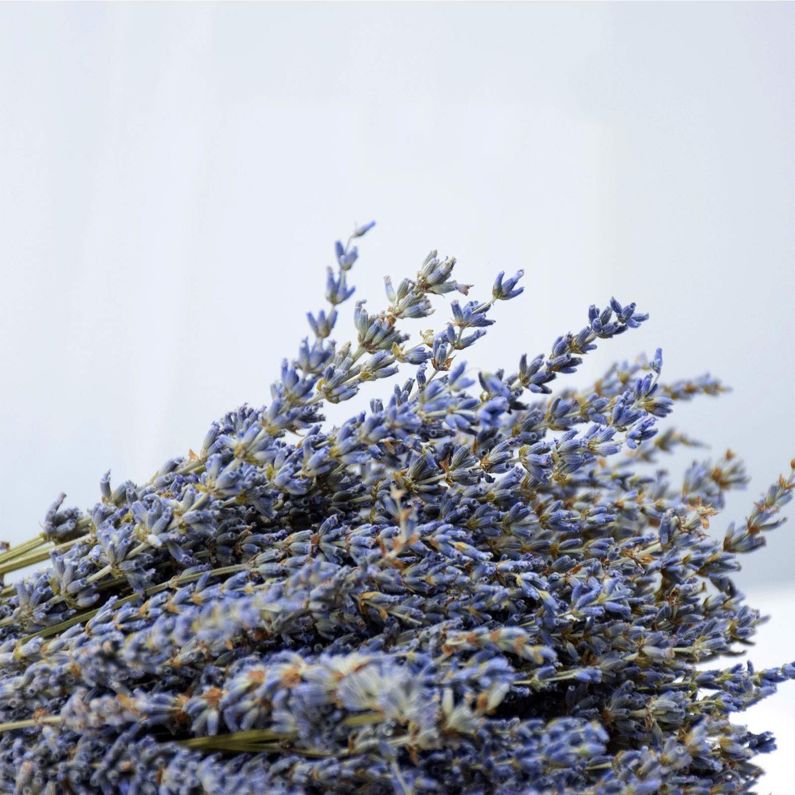 Dried Lavender Flowers Bundles 200 Stems Dry Lavender Bunch for Home 200+ stems