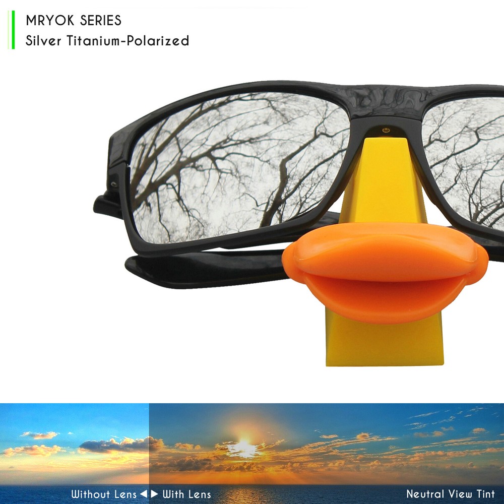 POLARIZED Replacement Lenses for Skylon Ace EV0525 Black and Silver Titanium
