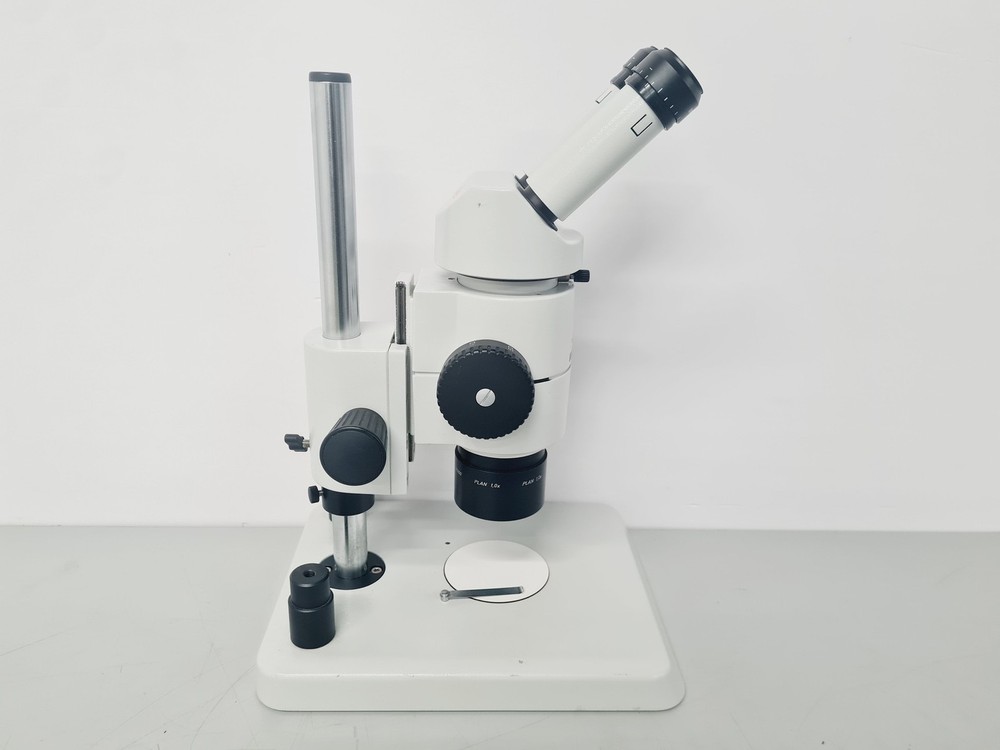 Leica M8 WILD Stereo Zoom Microscope Lab