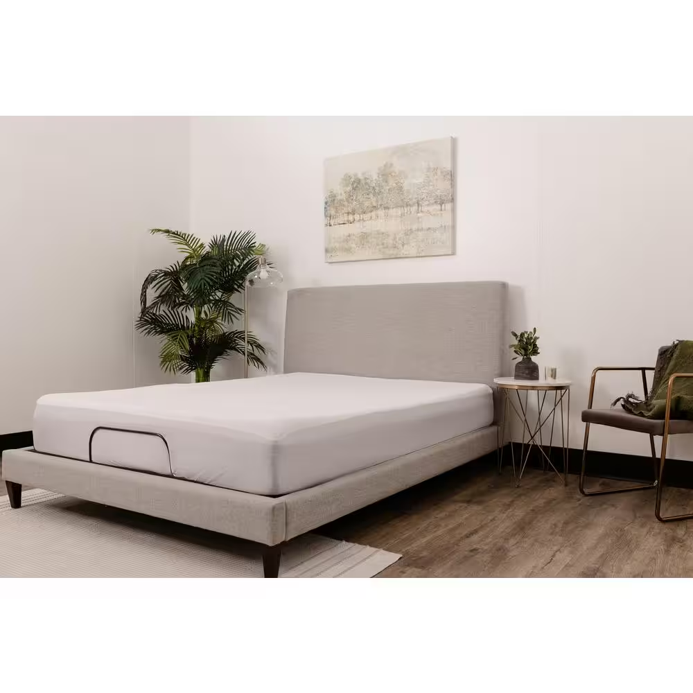 Terry Loop Cotton Hypoallergenic Queen Mattress Protector
