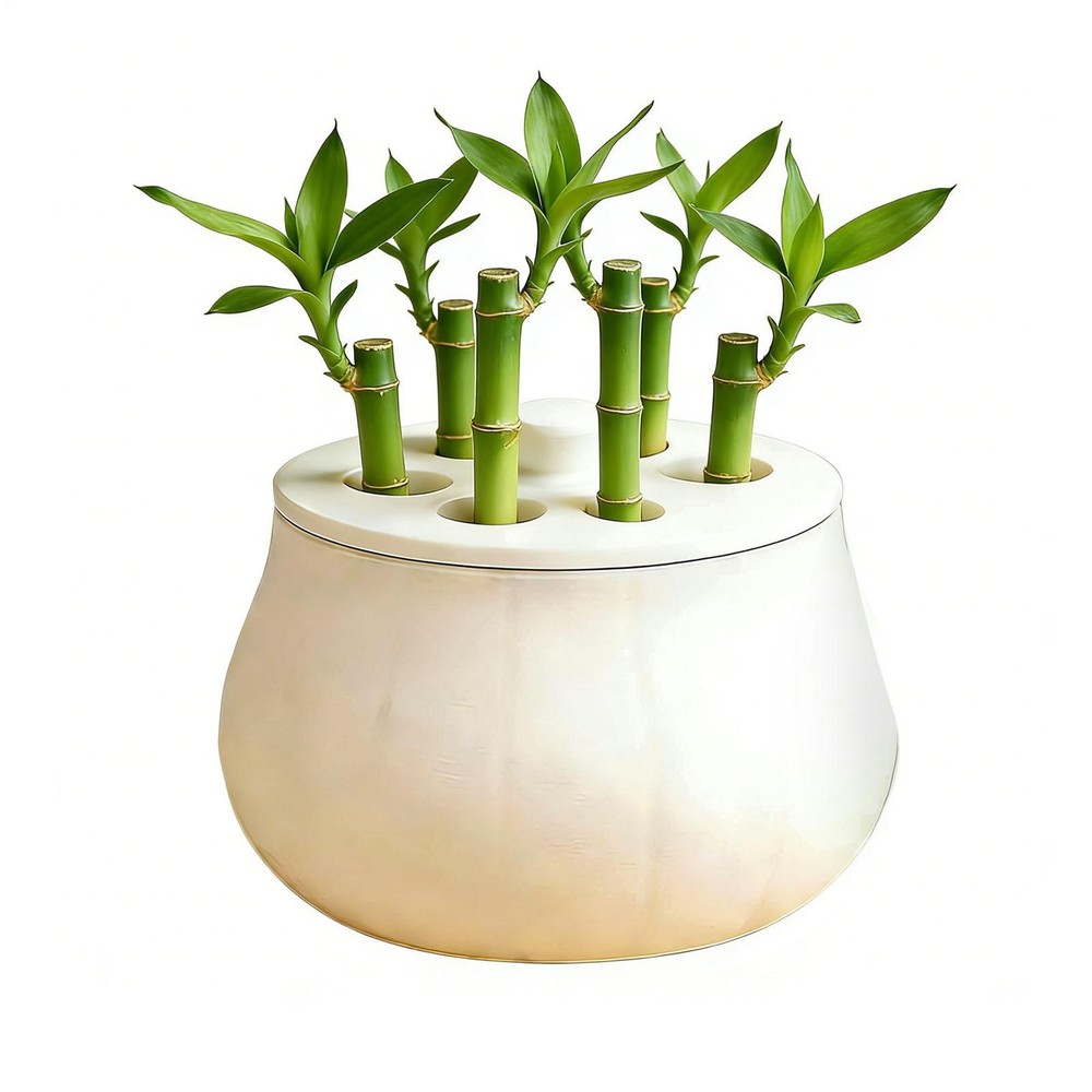 Propagation Jars with Fixed Lid Non Slip Container Sprout Maker