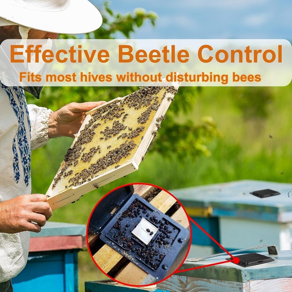 Plastic Hive Beetle Trap 30 PCS Reusable