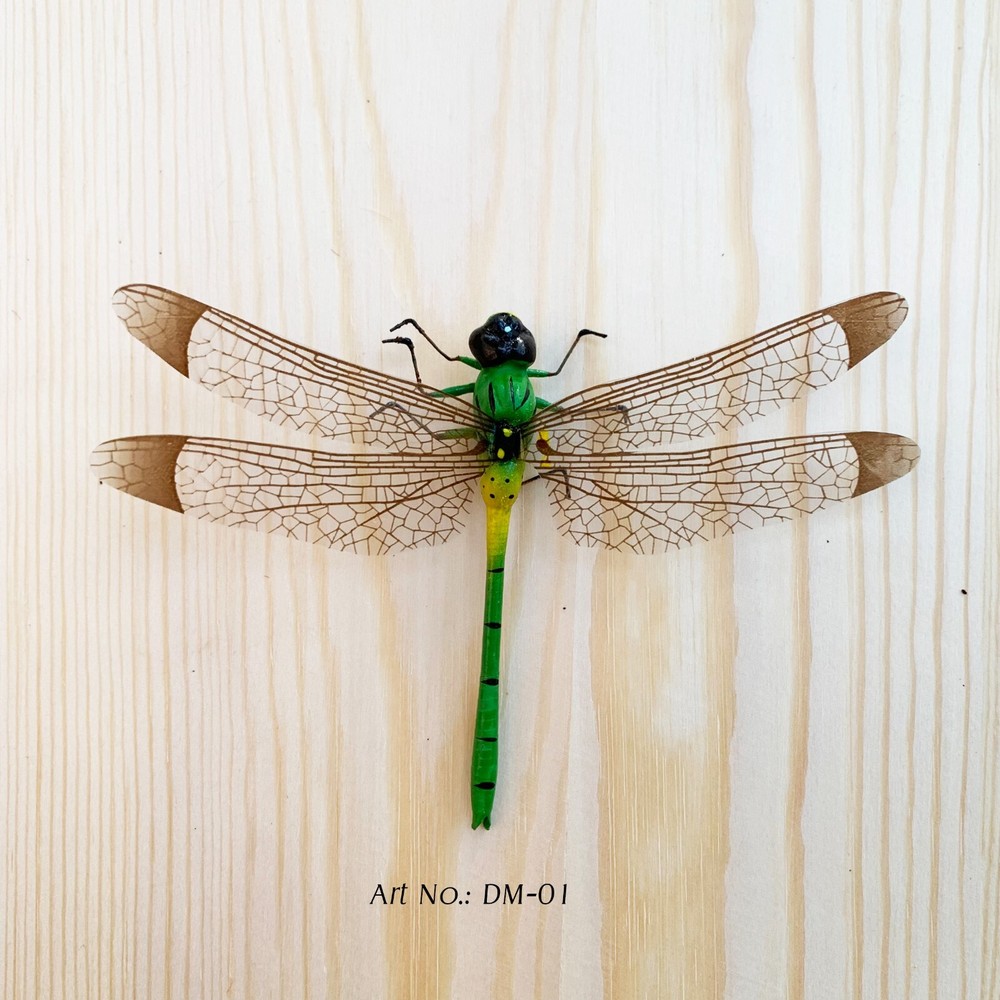 Dragonflies with Magnets