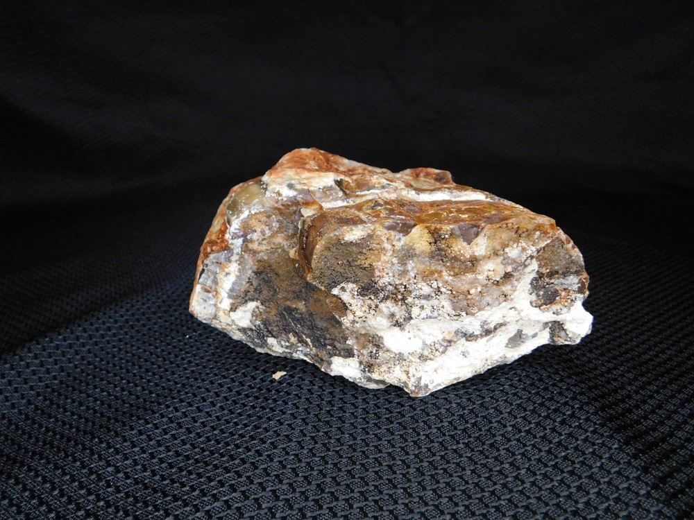 Translucent Agatized and Opalized Limb Cast Central WA Vintage 2 lbs. 14oz