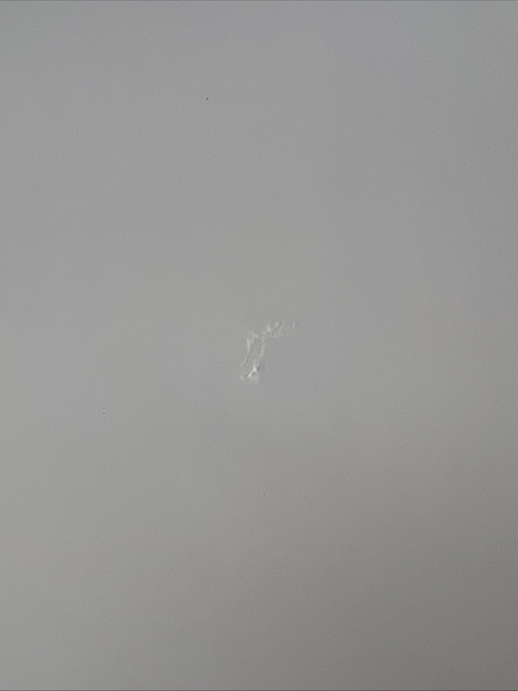 Krissy Johnson MAKE IT YOURS: Book One Essential Fonts for Personalization