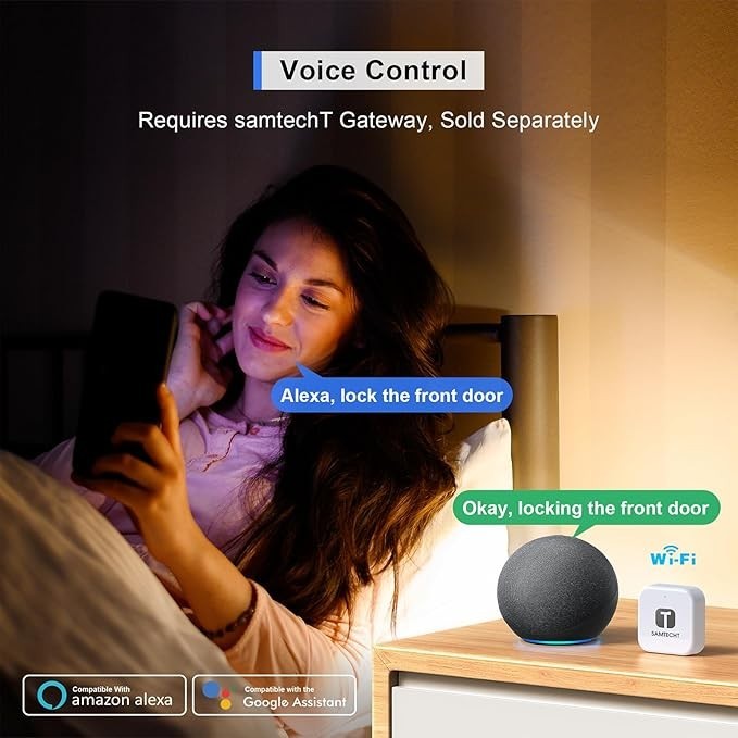 Keyless Entry Fingerprint Smart Lock with Handle & Keypad: Electronic/Electri...