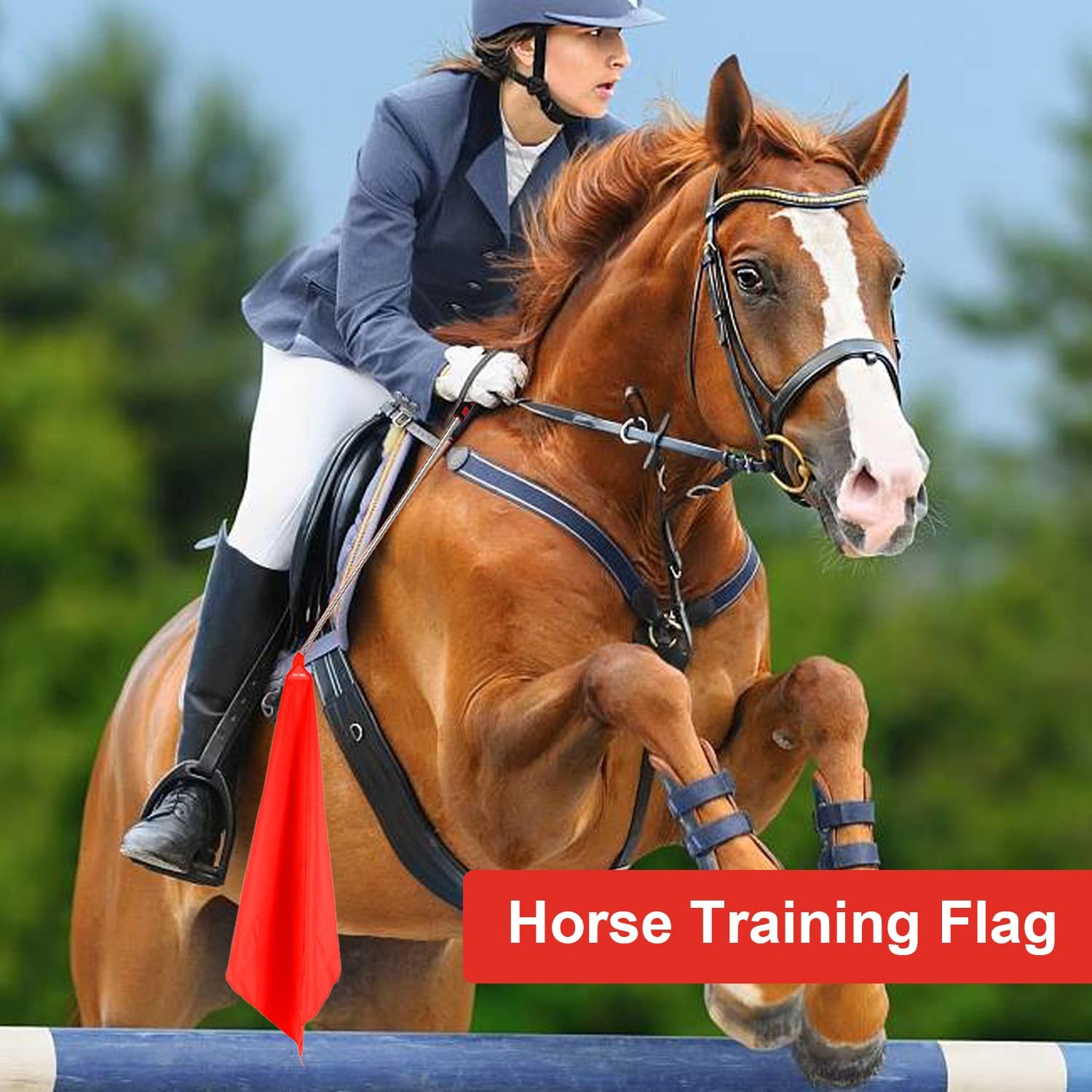 Horse Training Flag Equipment 5 Pcs with 1Pcs Telescopic Flag Pole Lunge Whip