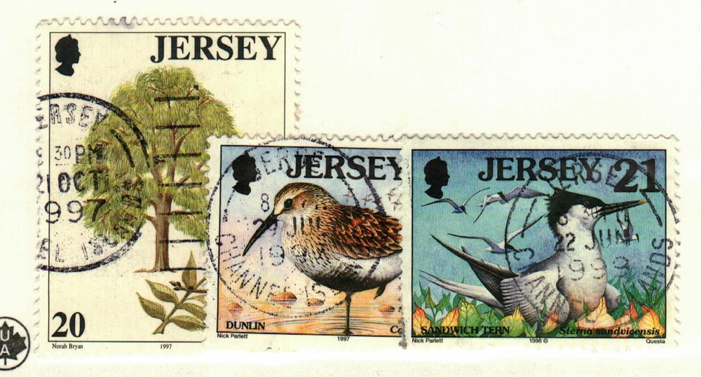 Jersey #781, 812, 827 used birds, tree
