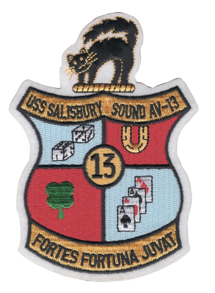 USS Salisbury Sound AV-13 Patch