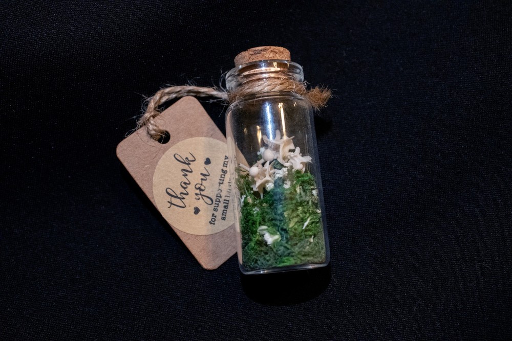 oddities weird stuff