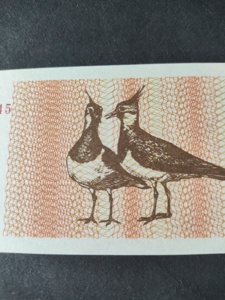 1992 Lithuania 1 Talonas Banknote - UNC