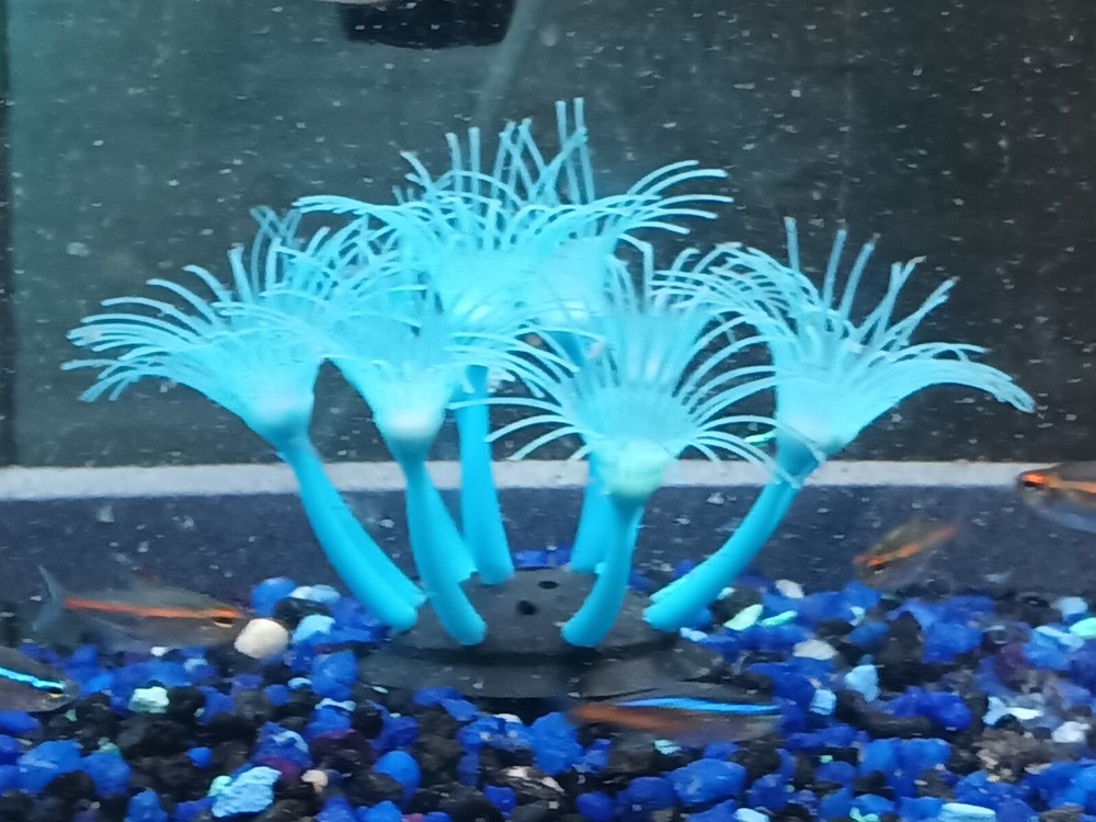 Silicone fish tank decoration