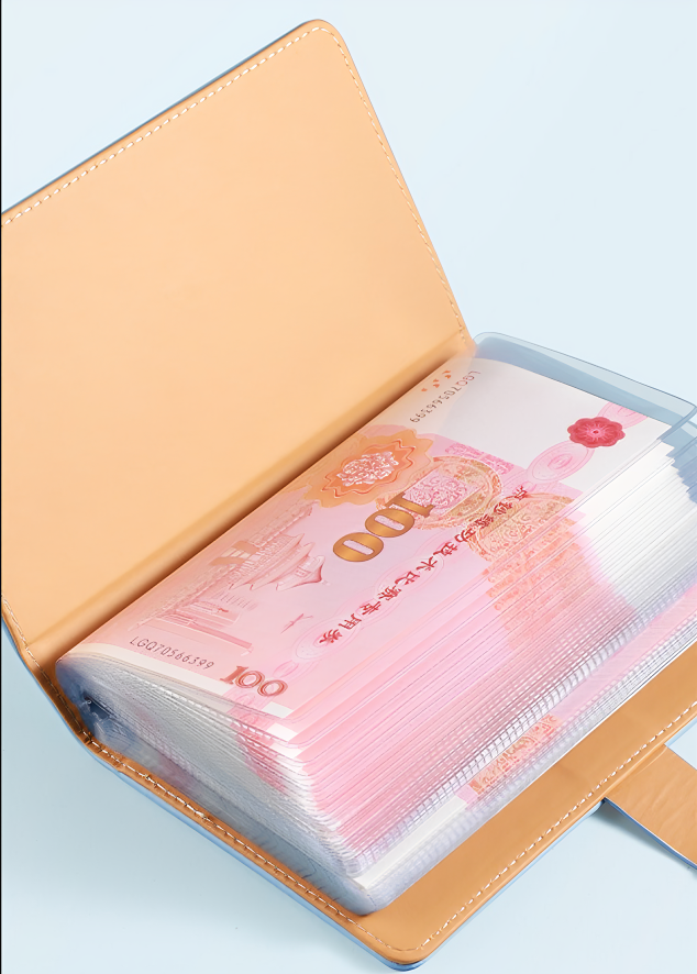 50 Pockets Dollar Bill Holders with PU Mini Binder Sleeves Protector for Notes