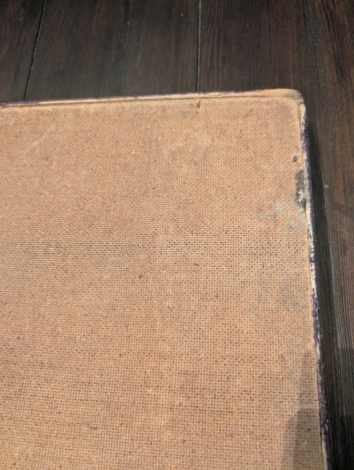 Vintage Chinese Mother Of Pearl Shell Porcelain Landscape 3D Painting Wood Frame