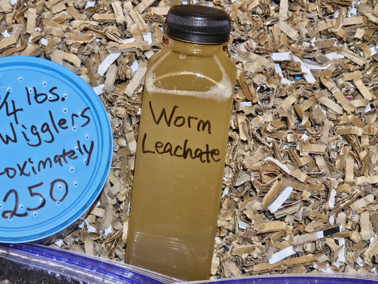 🪱1 lbs. Red Wiggler Worm Farm Starter Kit🪱 (Worms/Food/Bedding/Inoculant)