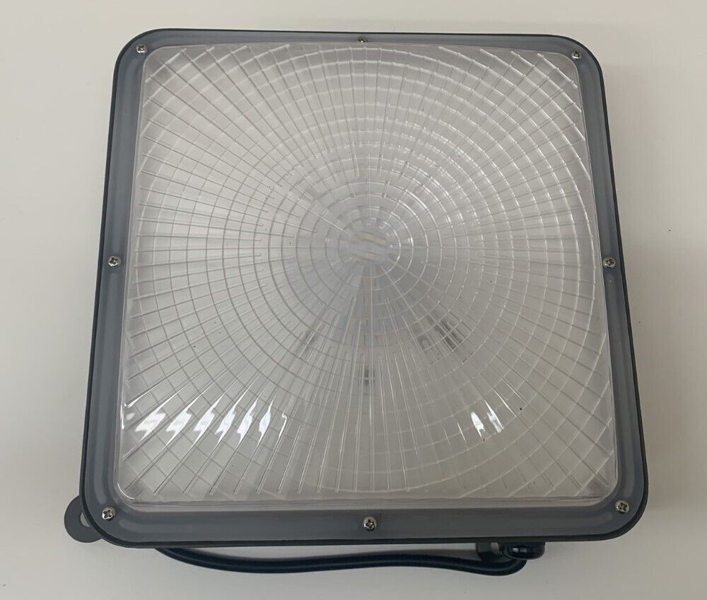 (Pack of 2) WYZM CP-45W Indoor/Outdoor 5500K White Canopy Lights - 45W ea.