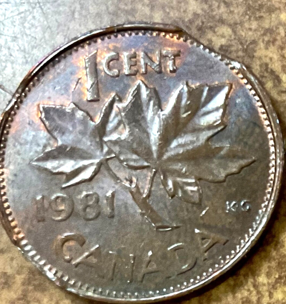 Canada 1981 cent bronze  QE2 clipped planchet error  curved CLIPS
