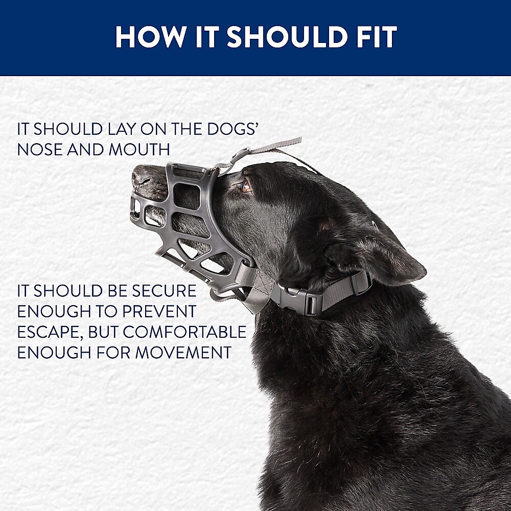 Top Paw Training Adjustable Dog/Canine Basket Muzzle ( X-LARGE)