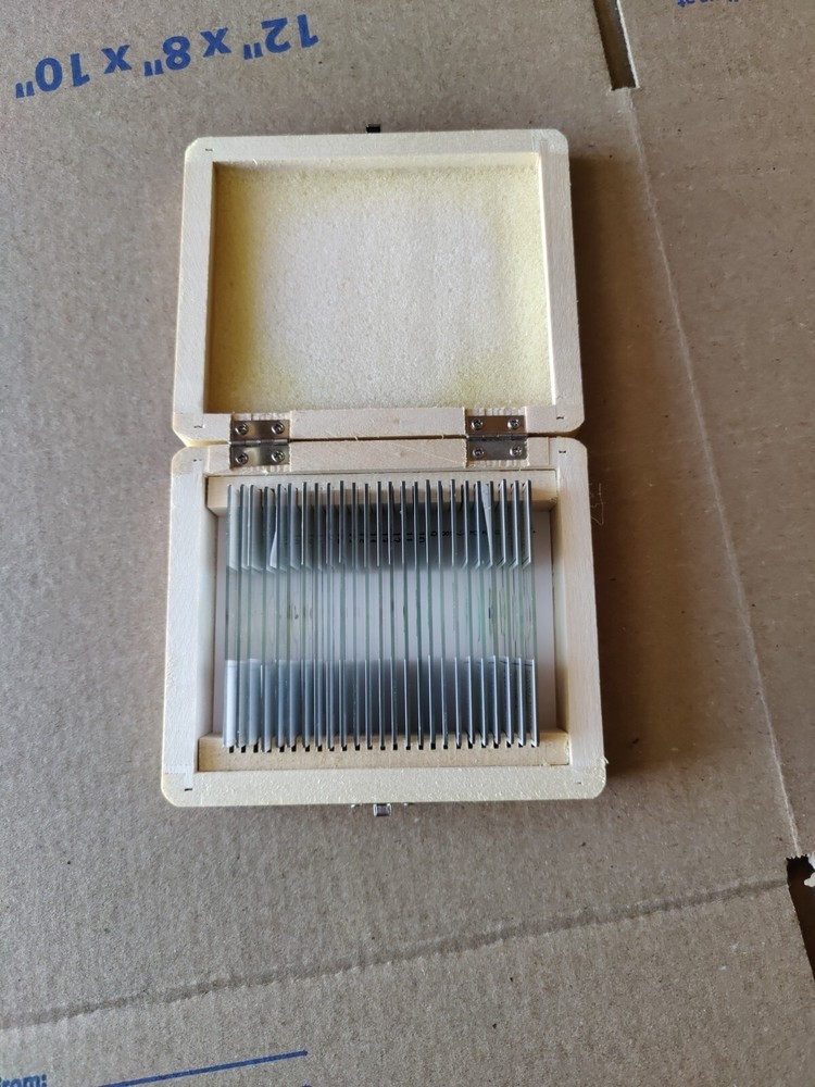 AmScope PS25W Prepared Slides