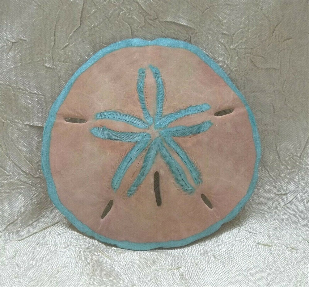 Sand Dollars Two Hand Painted